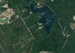 Pre-foreclosure in  Lake Seivern Rd Batesburg, SC 29006