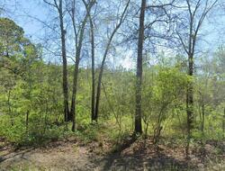 Pre-foreclosure in  Old Spell Rd Saint George, SC 29477