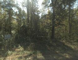 Pre-foreclosure in  Lawson Rd Leesville, SC 29070