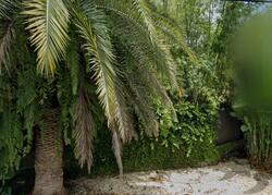 Pre-foreclosure in  Park Ave Miami, FL 33133