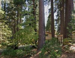 Pre-foreclosure in  Cypress Point Dr Arnold, CA 95223