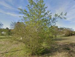 Pre-foreclosure in  Shavox Rd Parsonsburg, MD 21849