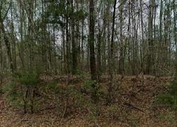 Pre-foreclosure in  County Road 57 Pine Apple, AL 36768