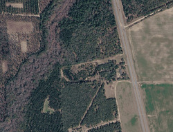  Us Highway 25 N, Millen GA