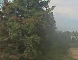 Pre-foreclosure Listing in E 2100th Rd BALDWIN CITY, KS 66006