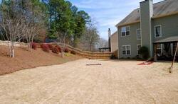 Pre-foreclosure in  HIDDEN CREEK PT Cumming, GA 30040