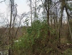 Pre-foreclosure in  County Road 65 Chesapeake, OH 45619
