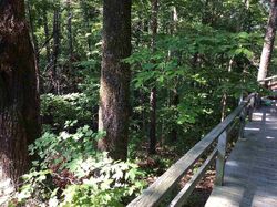 Pre-foreclosure in  Wapiti Ln Westminster, SC 29693