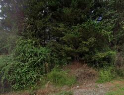 Pre-foreclosure in  Joes Lake Rd East Bend, NC 27018