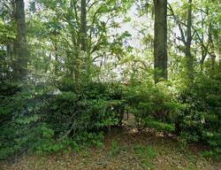Pre-foreclosure in  Sunrise Blvd Ladys Island, SC 29907