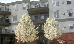 Pre-foreclosure in  ANDREWS DR Denver, CO 80239
