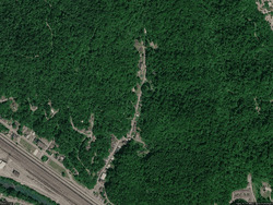  Peter St, Williamson WV