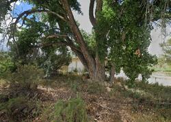 Pre-foreclosure in  Starlight Ct Montrose, CO 81401