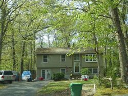 Pre-foreclosure in  WALTER DR Jackson, NJ 08527