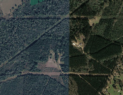 Pre-foreclosure in  Sanders Rd Franklinton, LA 70438