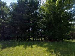  Gannon Rd, Howell MI