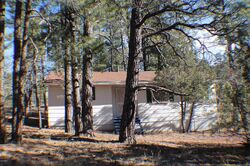 Pre-foreclosure in  S Indian Trl Show Low, AZ 85901