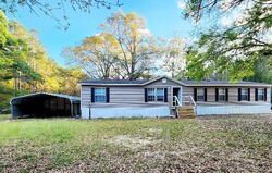 Pre-foreclosure in  Fox Hound Ln Baker, FL 32531