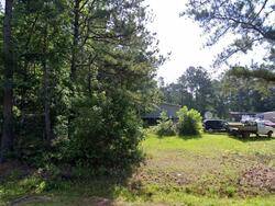 Pre-foreclosure in  Gale Dr Pelzer, SC 29669