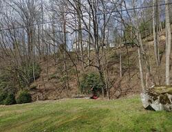 Pre-foreclosure in  Morgan Ln Roan Mountain, TN 37687