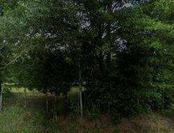 Pre-foreclosure Listing in Pine Rd S STAPLETON, AL 36578