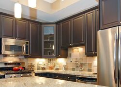 Pre-foreclosure in  S Michigan Ave  Chicago, IL 60605