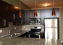 Pre-foreclosure in  S Michigan Ave  Chicago, IL 60605