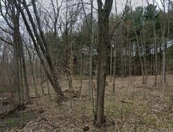 Pre-foreclosure in  Gale Rd Otisville, MI 48463