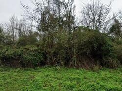 Pre-foreclosure in  County Road 1547 Louin, MS 39338