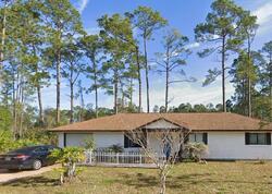 Pre-foreclosure in  Ryall Ln Palm Coast, FL 32164