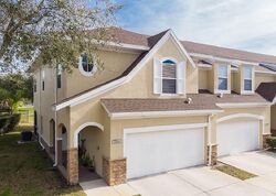  Dragonwood Dr, Tampa FL