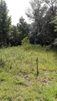 Pre-foreclosure in  Old Flomaton Rd Century, FL 32535