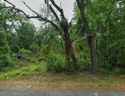  W Van Buren Dr, Homosassa FL
