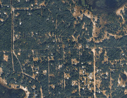 Pre-foreclosure in  Pine Trl Melrose, FL 32666