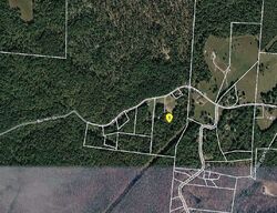 Pre-foreclosure Listing in Barnett Dr LEOMA, TN 38468