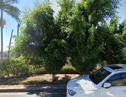  Cumberland Rd, Glendale CA