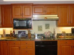 Pre-foreclosure in  Captiva Cir Saint Petersburg, FL 33706
