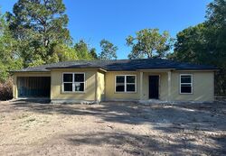 Pre-foreclosure in  Bowdoin Ave Keystone Heights, FL 32656