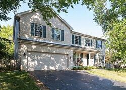 Pre-foreclosure in  S Oakleaf Rd Algonquin, IL 60102