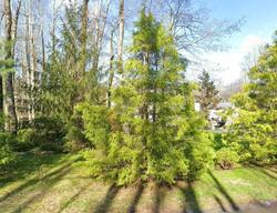 Pre-foreclosure Listing in Spring Ln WARREN, NJ 07059