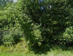 Pre-foreclosure in  Agnew Rd Morrisonville, NY 12962