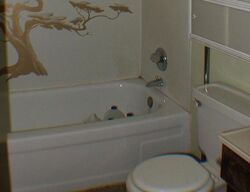 Pre-foreclosure in  INDIAN TRL Show Low, AZ 85901