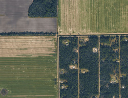  Hennessey Ave, Hastings FL