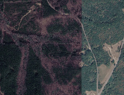 Pre-foreclosure in  County Highway 57 Brilliant, AL 35548
