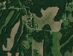 Fesmire Rd, Cedar Grove TN