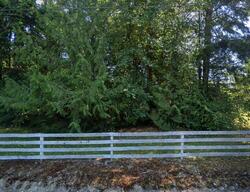 Pre-foreclosure in  22nd Ave E Roy, WA 98580