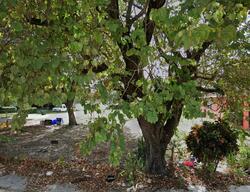 Pre-foreclosure Listing in Nw 23rd Ave MIAMI, FL 33142