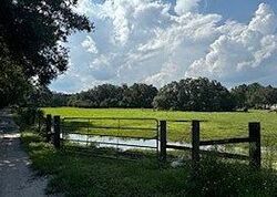 Pre-foreclosure in  Red Barn Rd Moore Haven, FL 33471