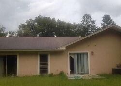 Pre-foreclosure in  Ne 130th Court Rd Fort Mc Coy, FL 32134