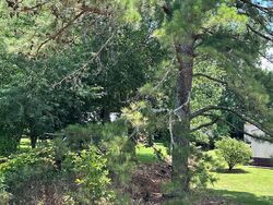 Pre-foreclosure in  Winchester Rd New Market, AL 35761